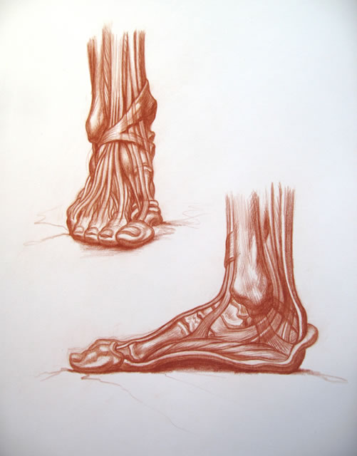 Human Anatomy by Michael McKinley (2014, Mixed Media) Human Anatomy by Michael McKinley (2014, Mixed Media)